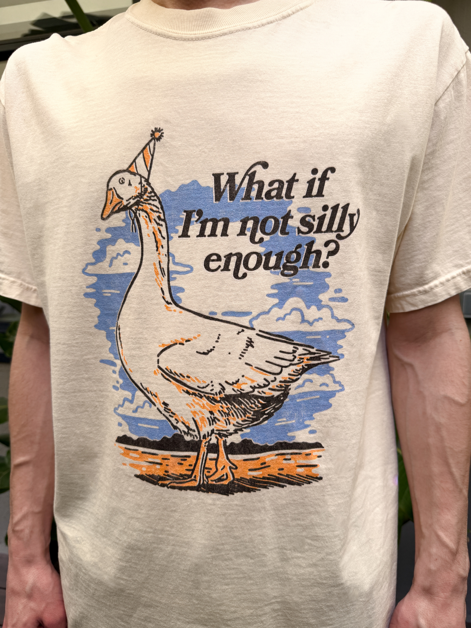 Silly Goose Unisex Tee